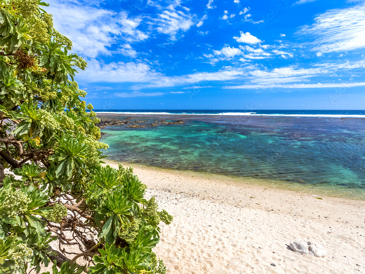 Les Sardines Blanches — Le lagon à vos pieds